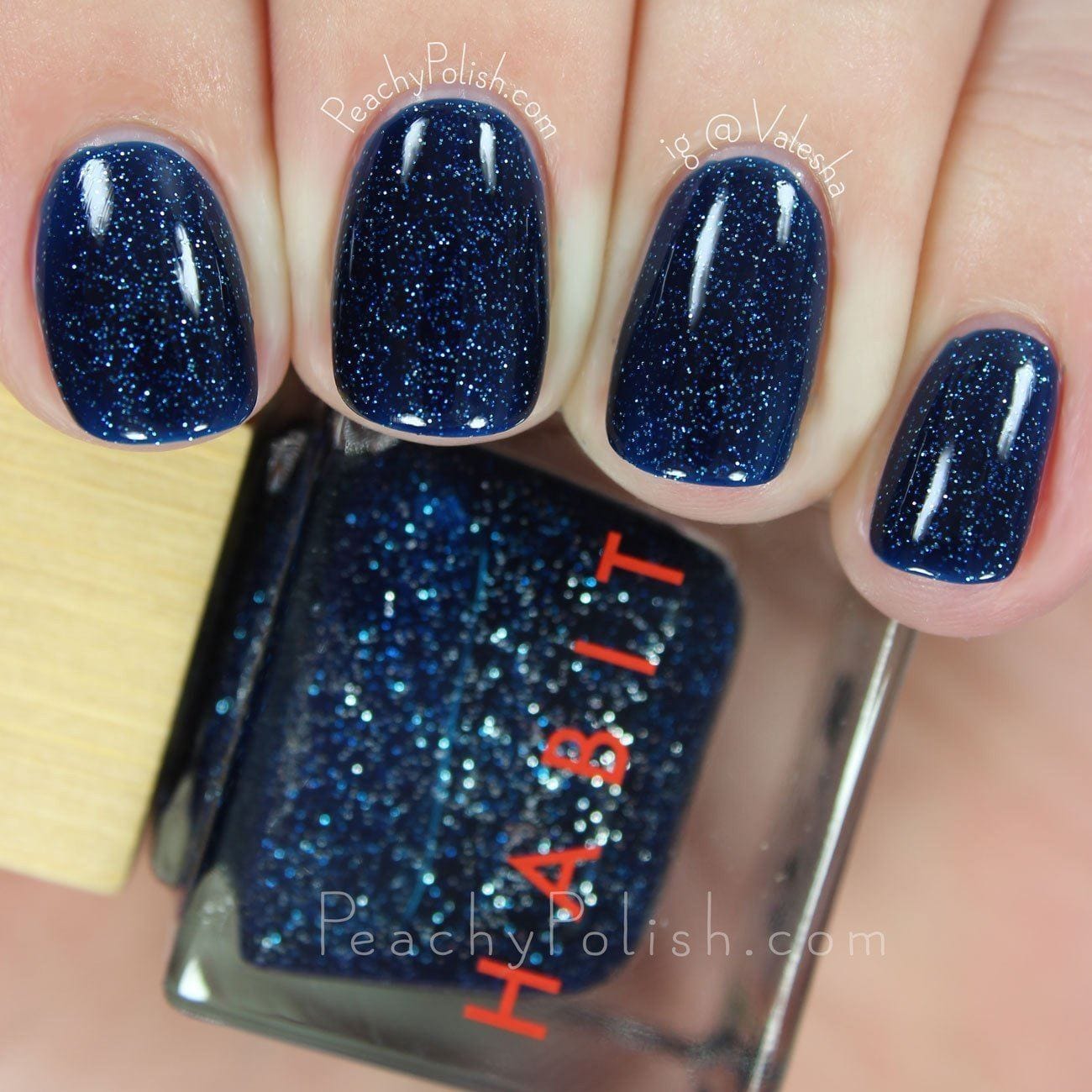 Habit Cosmetics Skincare Ingredient Infused Non-Toxic + Vegan Nail Polish in 33 Space Cadet